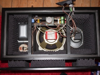 isophon speaker cabinet finished