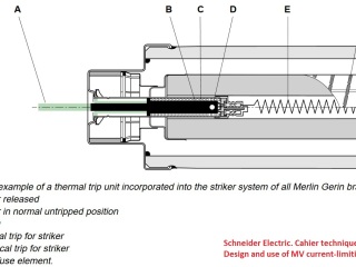 High Voltage Fuse schneider inside